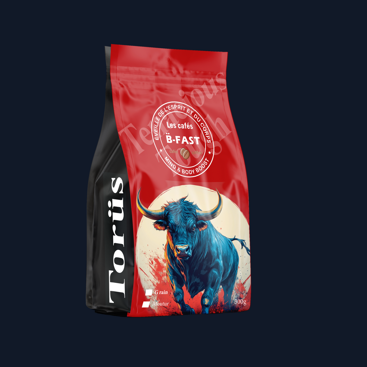 Torüs