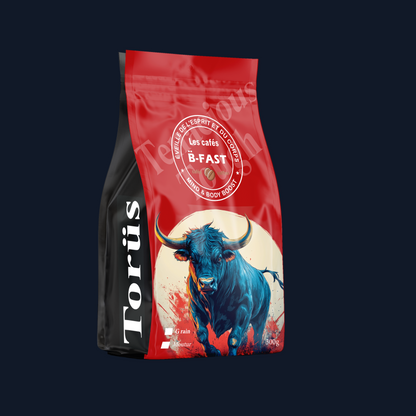 Torüs