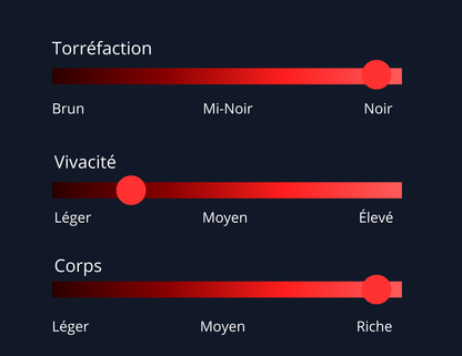 Torüs